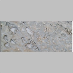 100_0755 (2009-27-07)cr.jpg